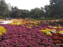 -北京植物园-展览温室