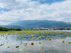 -大理洱源西湖景区