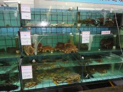 水产区-海岛渔村大酒店(云霄路店)