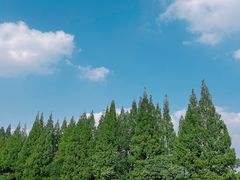 -蜀绣公园