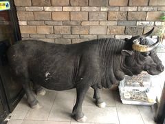 -九田家黑牛烤肉料理(珠江摩尔店)