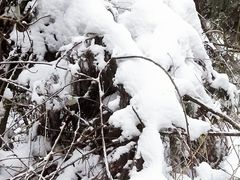 -九峰山