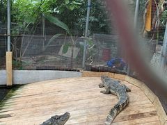 -呀路古热带植物园
