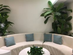 -健身堂科技美肌SPA