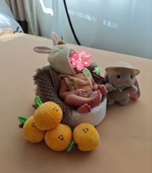 -宝生月子中心(民治店)
