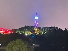-金鸡山公园