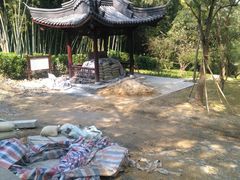 -镇江市南山风景名胜区竹林景区