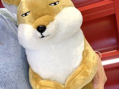 -LLJ夹机占(正佳广场店)