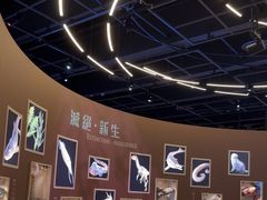 -香港科学馆