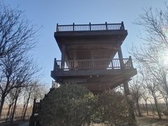 -天津东丽湖风景区