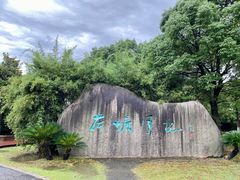 -荷塘月色湿地公园·向阳花洲