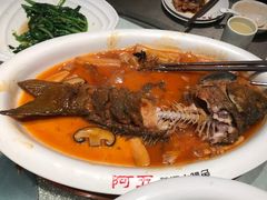 -阿五黄河大鲤鱼(纬三路店)