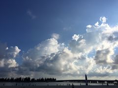 -东郊椰林