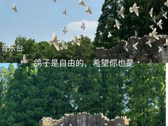 -音乐台