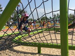 -春花秋色城市公园