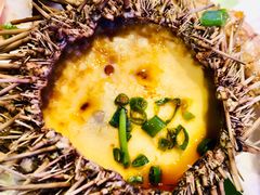 海胆-快乐海鲜城(虎泉街店)