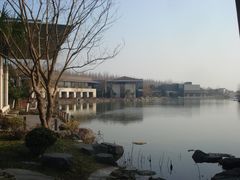 隔湖眺望1号高级别墅-上海怡沁园度假酒店