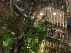 -Rainforest