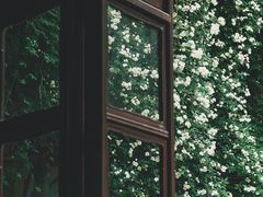 -苏州园林博物馆