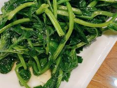 豌豆尖-易老妈蹄花.特色川菜(人民公园总店)