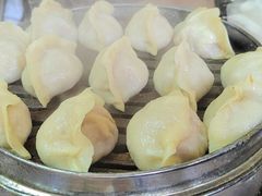 -老马家蒸饺(南海街店)