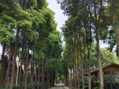 -三圣花乡旅游区