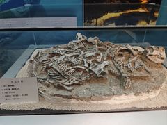 -大同煤炭博物馆