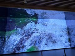 -中国湿地博物馆