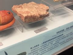 -云南省博物馆