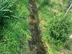 -白水寺森林公园