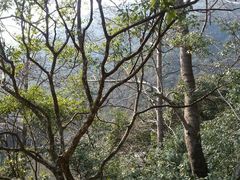 android_upload_pic-天明山温泉大酒店