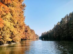 -上海海湾国家森林公园