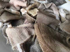 -大戚饭店(泰华路店)