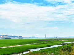-鄱阳湖国家湿地公园