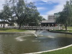 -东北农业大学