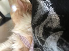 -平行世界·猫咖(首经贸店)