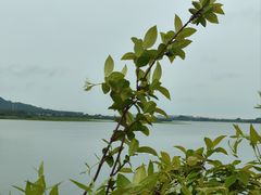 -南京金牛湖风景区