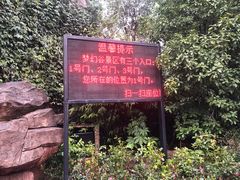 -横店影视城梦幻谷园区