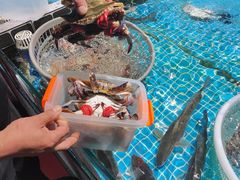 -巧克力渔家.小船海鲜胶东菜(万平口店)