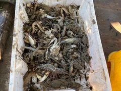 -大京沙滩