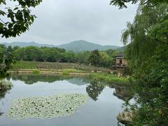 -中国茶叶博物馆(双峰馆区)
