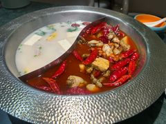 -麻田会 ·鲜活现烹·牛蛙火锅(珠江新城维家思广场店)