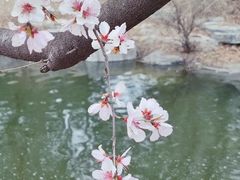 -国家植物园