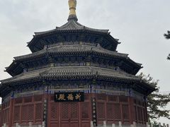 -中国唐苑