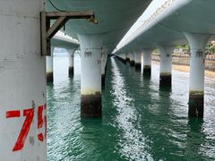 -演武大桥观景平台