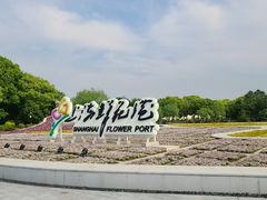 -上海鲜花港