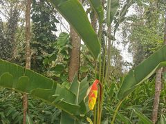 -中国科学院西双版纳热带植物园