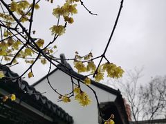 -江宁织造博物馆