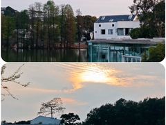 -中国科学院华南植物园