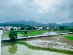 -黄牛肉馆·皖南土菜